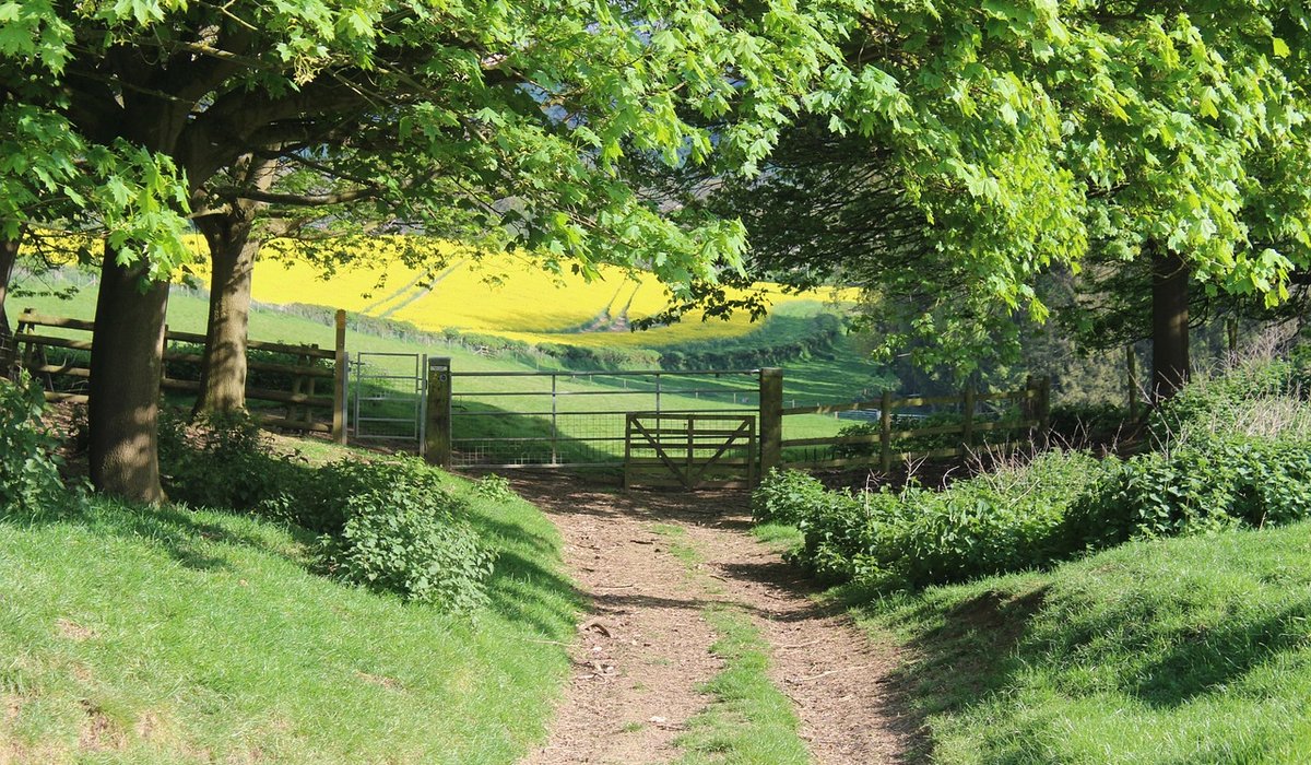 Exploring Limestone Dales Without Damaging Fragile Habitats