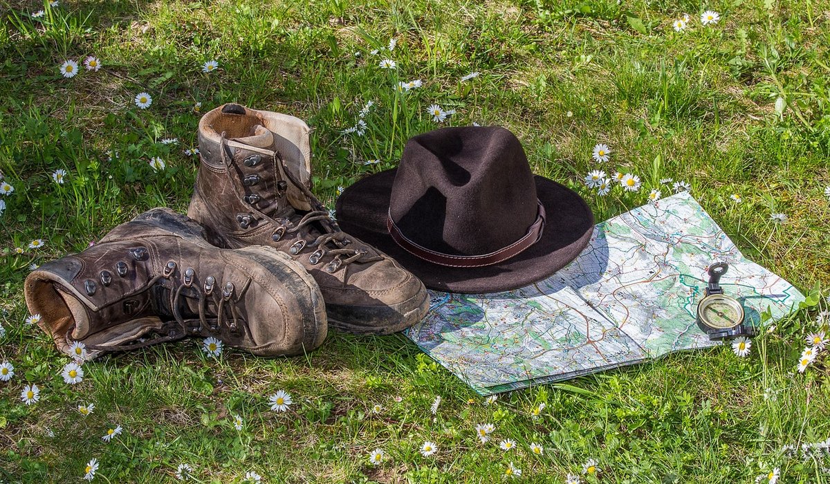 Planning a Linear Walk Using Public Transport Links